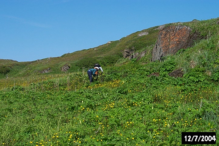 The crew tests a possible bread oven.